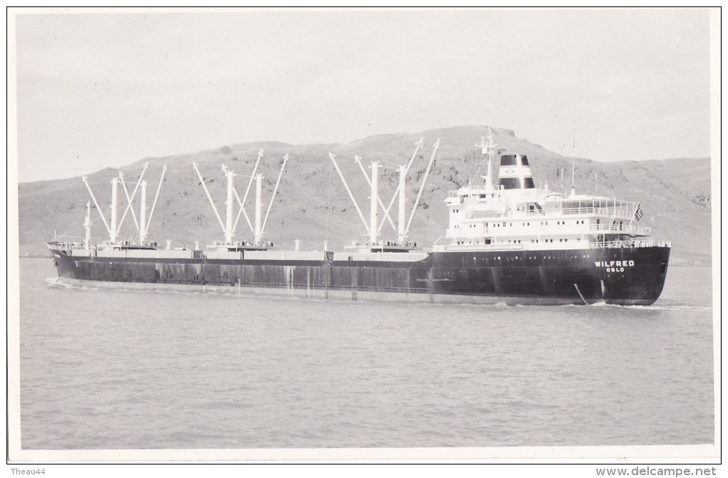 ¤¤  -  Carte Photo Du Bateau De Commerce  -  Cargo Norvégien   " WILFRED " D' Oslo   -  ¤¤ - Commerce