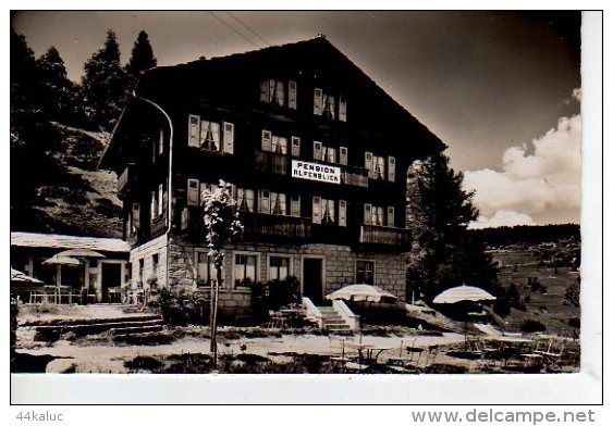 Pension Alpenblick Zeneggen    (Voir Scans Recto Et Verso) - Zeneggen