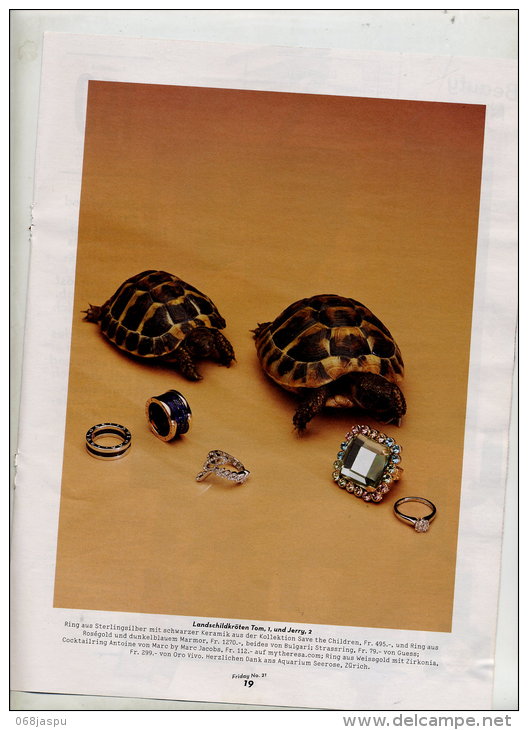 Pagemagazin Theme Tortue - Autres & Non Classés