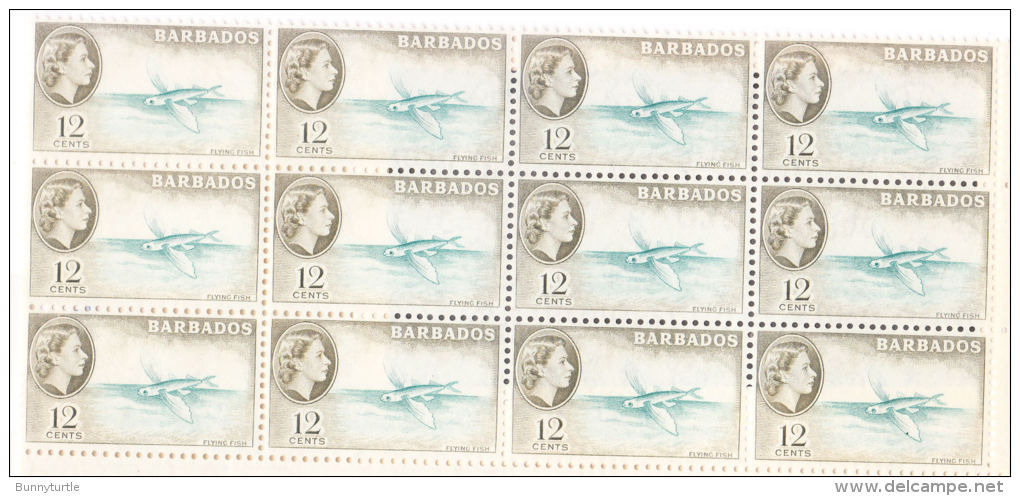 Barbados 1953-51 QE 12c Flying Fish Blk Of 12 MNH - Barbados (...-1966)