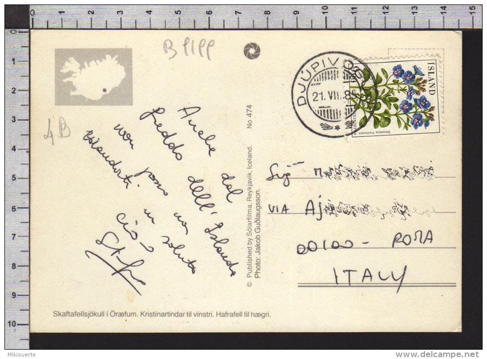 B9199 ISLAND Postal History 1985 FLOWERS SKAFTAFELLSJOKULL OROEFI - Storia Postale