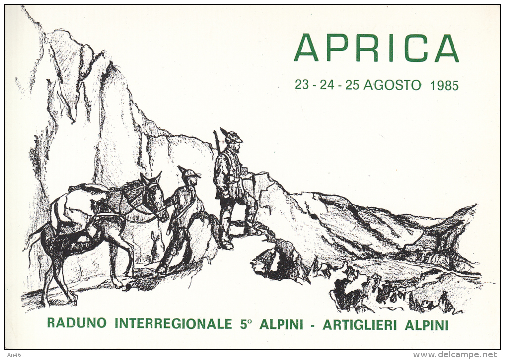 ALPINI ALPINO APRICA-23-24-25 AGOSTO 1985-RADUNO INTERREGIONALE 5°ALPINI-ARTIGLIERI- ORIGINALE D´EPOCA 100% - Autres & Non Classés