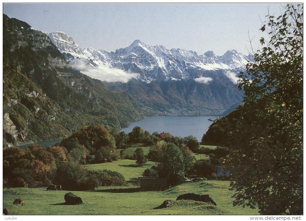 Filzbach - Lihn Blaukreuz Zentrum, Blick Auf Walensee           Ca. 2000 - Filzbach