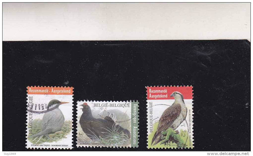 VOGELS BUZIN  2013 - Used Stamps