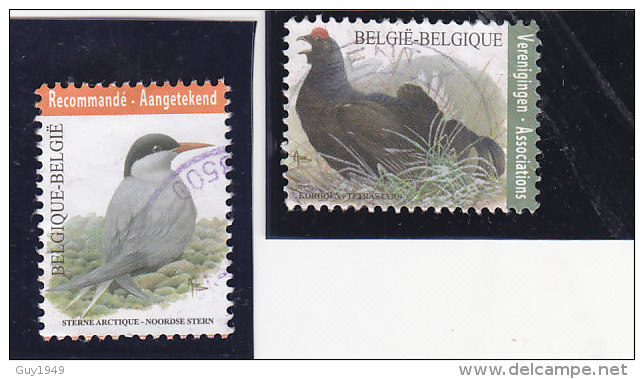 VOGELS BUZIN  2013 - Gebraucht