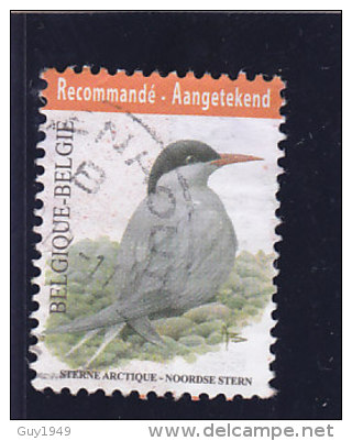 VOGELS BUZIN  2013 - Gebraucht