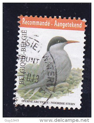 VOGELS BUZIN  2013 - Used Stamps