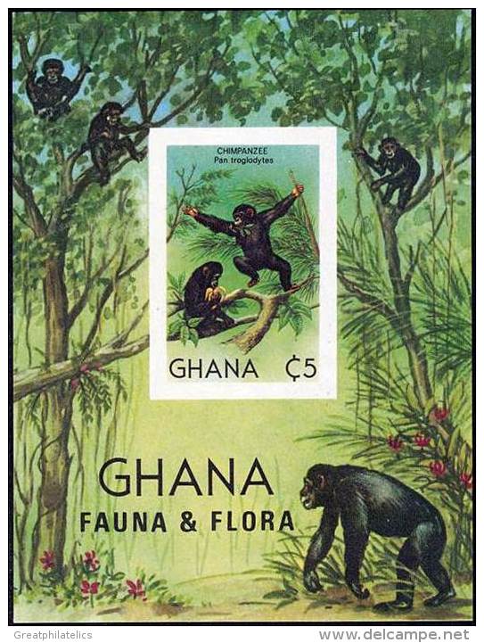 GHANA 1982 ANIMALS  APES MONKEYS SC#788 S/S VF MNH IMPERF//nonDENTELE (DEB09) - Chimpanzees