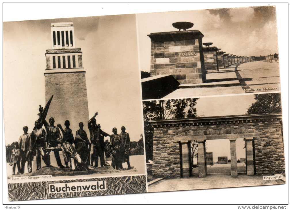 BUCHENWALD - Multivues - - Ziegenrück