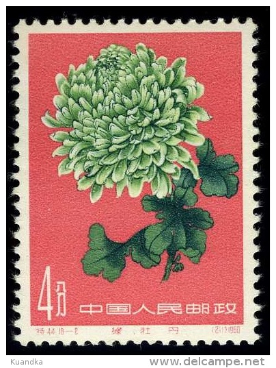 1961 Chrysanthemum,Chrysanthem En,Chrysanthèmes,China,Ch Ine,Cina,Mi.584,MNH - Nuovi