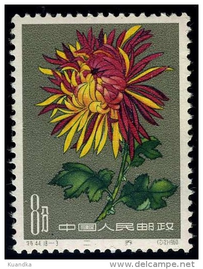 1961 Chrysanthemum,Chrysanthem En,Chrysanthèmes,China,Ch Ine,Cina,Mi.585,MNH - Ongebruikt