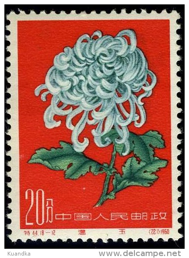 1961 Chrysanthemum,Chrysanthem En,Chrysanthèmes,China,Ch Ine,Cina,Mi.588,MNH - Unused Stamps
