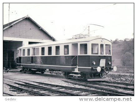 Chemin De Fer Orbe Chavornay, Train à Orbe Photo 1955 BVA OC 219.3 - Chavornay