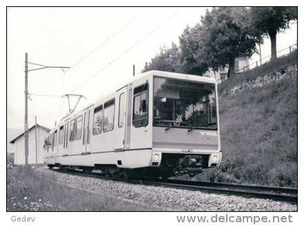 Chemin De Fer Orbe Chavornay, Train à Orbe Photo 1990 BVA OC 219.7 - Chavornay