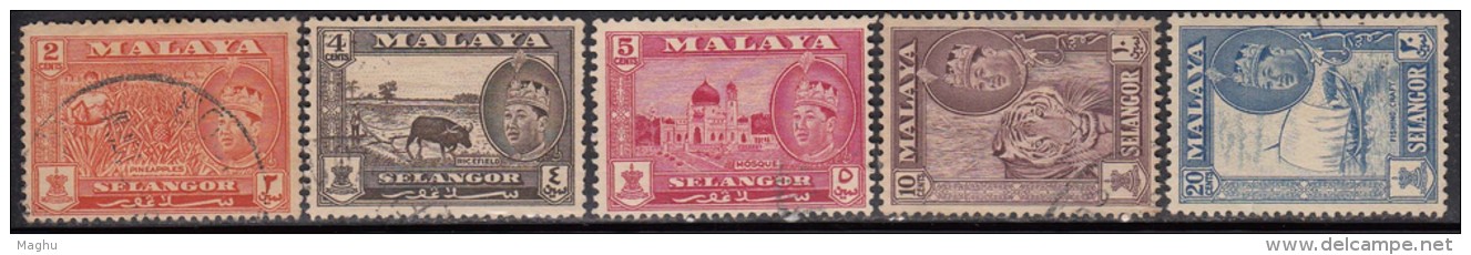 Selangor  Used 1961, 5 Diff., Malaysia / Malaya, Pineapple, Fruit, Plant, Tiger, Mosque, Islam, Animal ETc - Selangor
