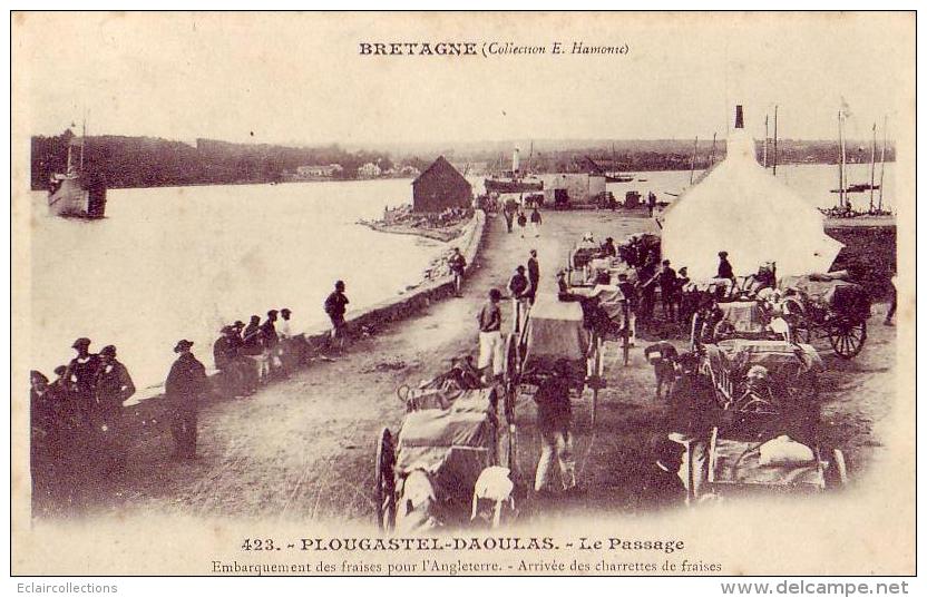 Plougastel-Daoulas  29    Embarquement Des Fraises Pour L'Angleterre - Plougastel-Daoulas