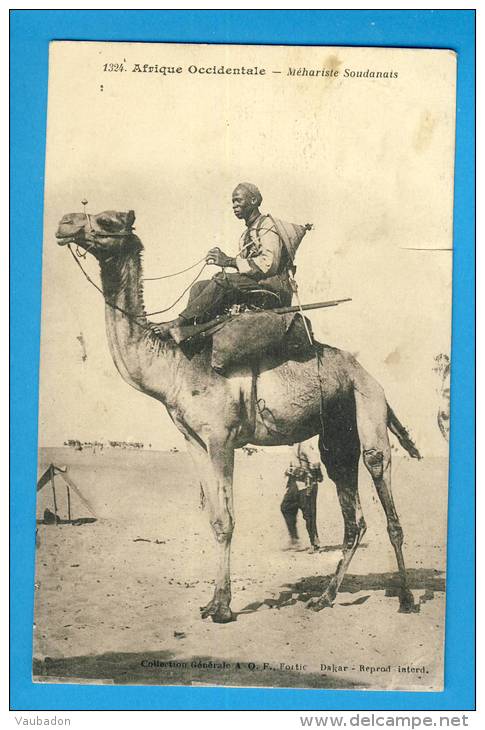 CP, Afrique Occidentale - Méhariste Soudanais, Voyagé En 1933 - Sudan