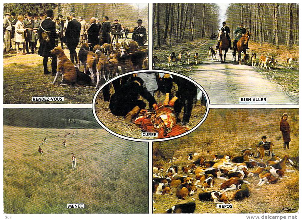 Sport-Chasse à Courre  (vénerie) Hunting Hetzjagd - Multi Vues (chiens) (Rendez-vous;Bien-aller;Menée;Repos;Curée) - Hunting