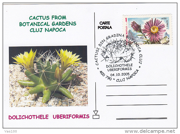 CACTUSSES AT CLUJ NAPOCA BOTANICAL GARDEN,CM, MAXICARD, CARTES MAXIMUM, 2005, ROMANIA - Sukkulenten