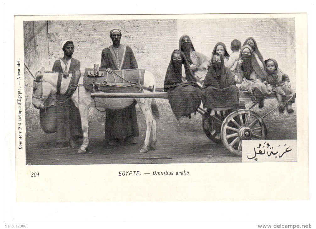 EGYPTE  Omnibus Arabe Comptoir Philatélique D'Egypte Alexandrie N°304 Non Circulé DOS SIMPLE NEUF - Altri & Non Classificati