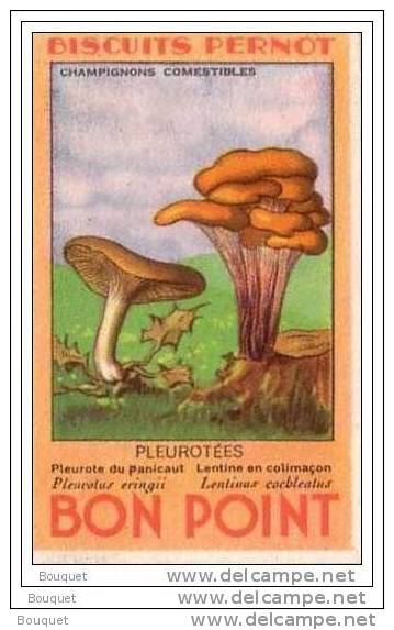 CÔTE D'OR - DIJON - BISCUITS PERNOT - LOT DE 5 BONS POINT - CHAMPIGNONS - CHAMPIGNON -  80 X 50 Mm - Pernot