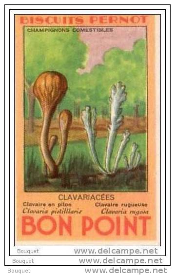 CÔTE D'OR - DIJON - BISCUITS PERNOT - LOT DE 5 BONS POINT - CHAMPIGNONS - CHAMPIGNON -  80 X 50 Mm - Pernot