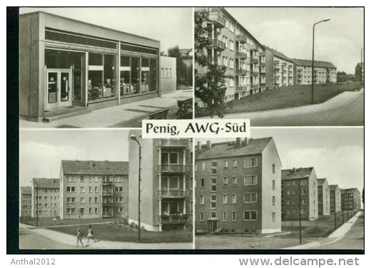 Penig Sachsen MB AWG-Süd Siedlung Kaufhalle Wohngebiet 1968 Sw - Penig