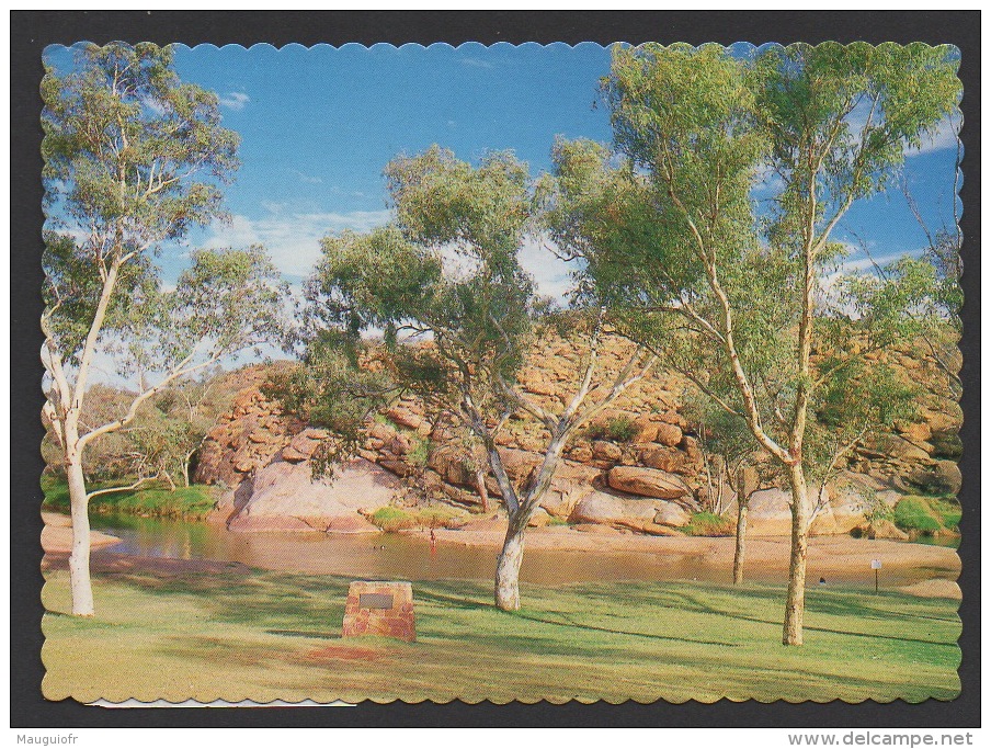 DF / AUSTRALIE / OUTBACK / ORIGINAL " ALICE SPRING WATERHOLE " - Outback