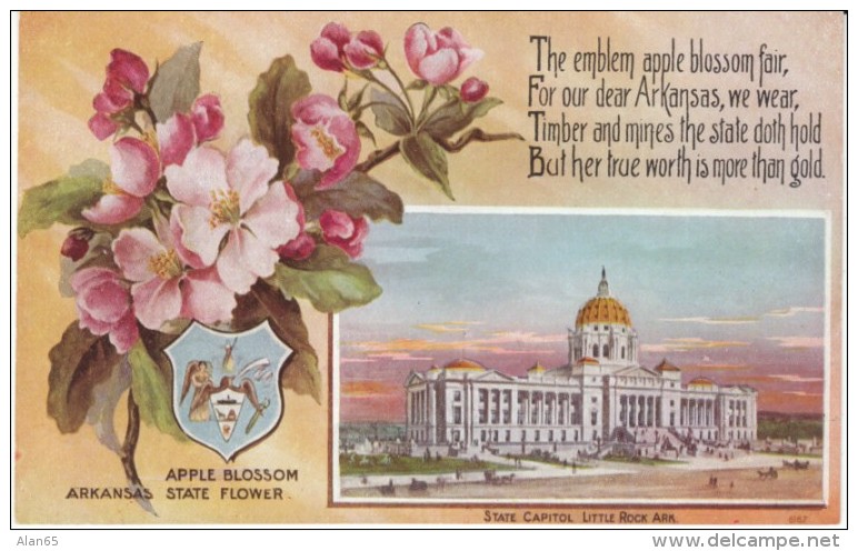 Little Rock AR Arkansas, State Capitol Building, State Flower Apple Blossom, Emblem, C1910s Vintage Postcard - Little Rock