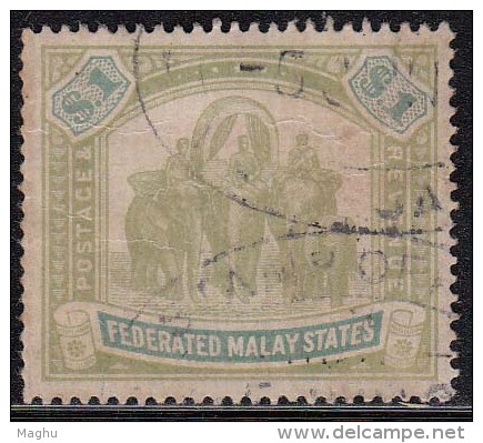 Federated Malay States Used 1900, $1.00 Wmk Crown CC, Elephant, Animal, Malaya / Malaysia Cat 190.00 Pounds - Federated Malay States