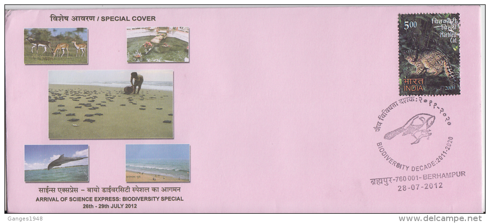 India  2012 New Born Turtles  Dolphin  Game  Deer  Special Cover # 50142 - Tortues