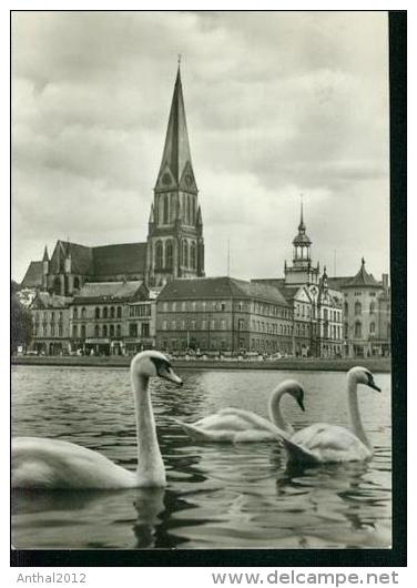 Schwerin Blick Zum Dom Schwan Schwäne 1967 - Schwerin