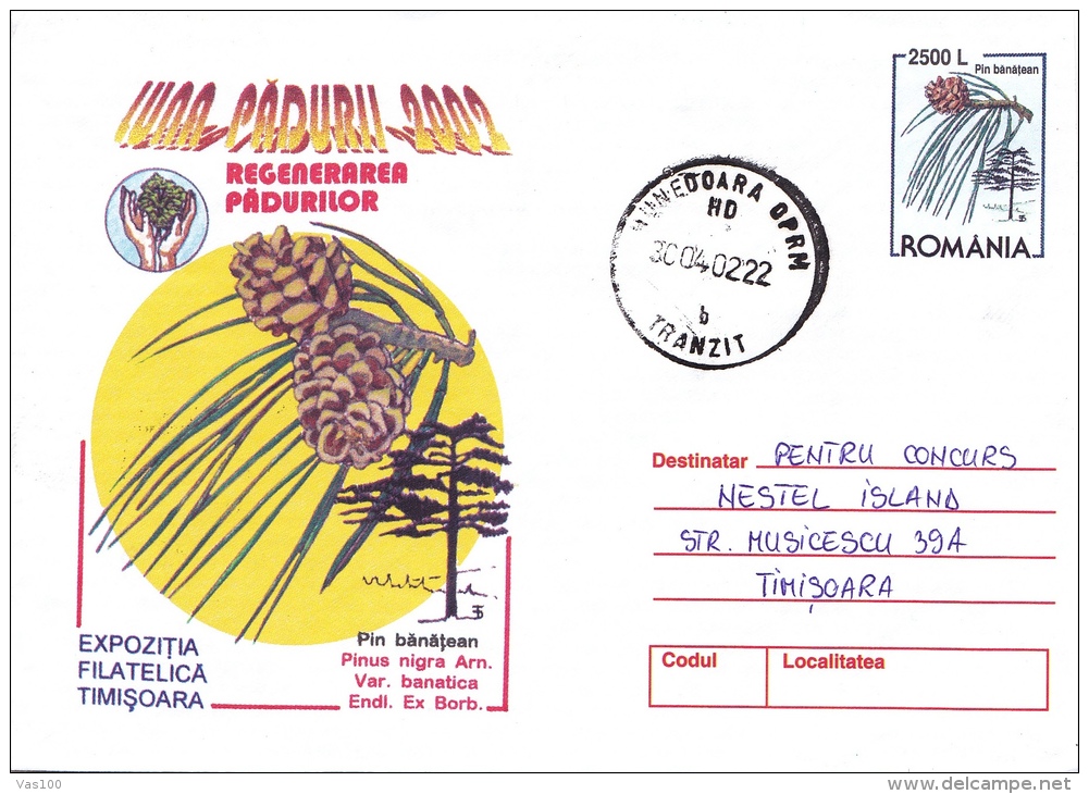 PINUS NIGRA ARN. VAR. BANATICA ENDL. EX BORB.,2002,COVER STATIONERY, ROMANIA - Bäume
