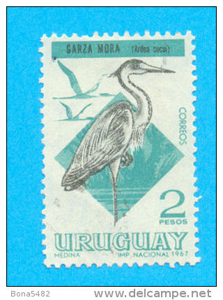 URUGUAY OISEAUX  1968 / OBLITERE TRACES DE CHARNIERES / H 124 - Cigognes & échassiers