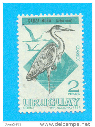 URUGUAY OISEAUX  1968 / OBLITERE TRACES DE CHARNIERES / H 124 - Cicogne & Ciconiformi