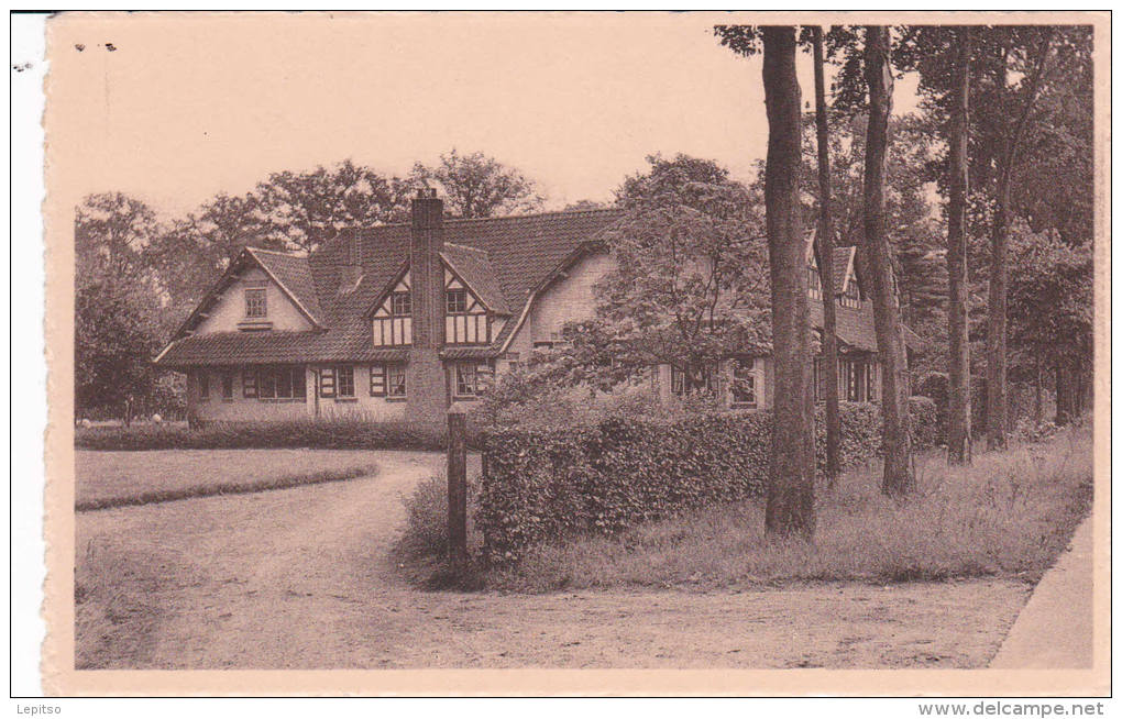 POLYGOON-BRASSCHAET édit Nels "Villa MACADAM"    Voir Scans - Brasschaat