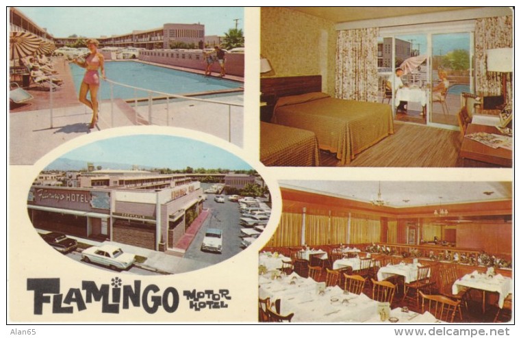 Tucson AZ Arizona, Flamingo Motel, Room Interior View, Restaurant, Auto, C1960s Vintage Postcard - Tucson