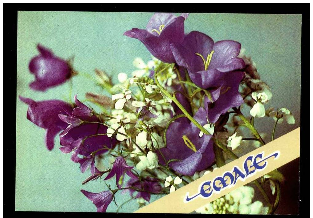 Mother Day In Estonian On Estonia USSR Mint Stamped Postcard From 1991  Carte Postale  URSS Entier - Non Classificati