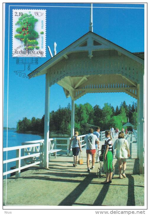 Finland 1991 Seurasaari Maximum Card - Tarjetas – Máximo