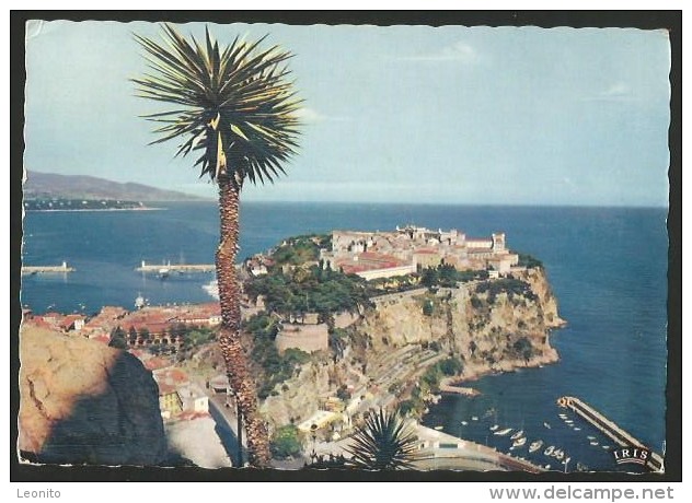 MONACO Le Rocher Vue Du Jardin Exotique 1961 - Exotic Garden