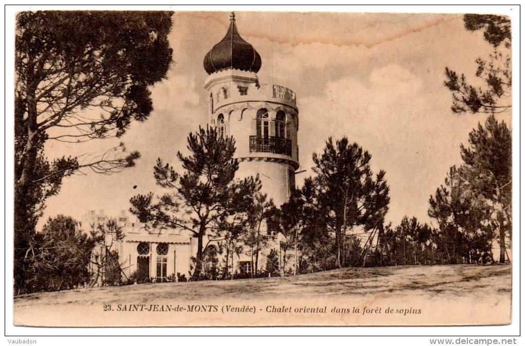 CP, SAINT JEAN DE MONTS, Chalet Oriental Dans La Forêt De Sapins, Vierge, Ed : J.Nozais - Saint Jean De Monts