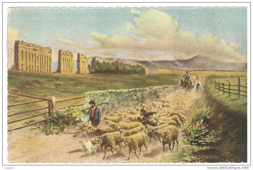 CARTOLINA - ROMA - CAMPAGNA ROMANA  - VIAGGIATA NEL 1926 - Panoramische Zichten, Meerdere Zichten