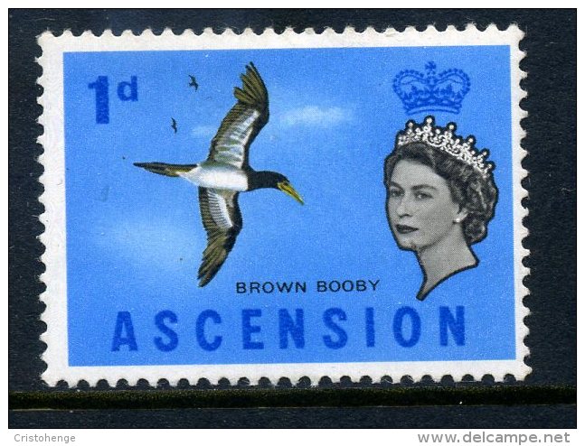 Ascension 1963 Birds - 1d Brown Booby HM - Ascension