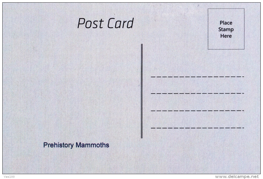 PREHISTORY MAMMOTHS,POSTCARD,UNUSED - Prehistory