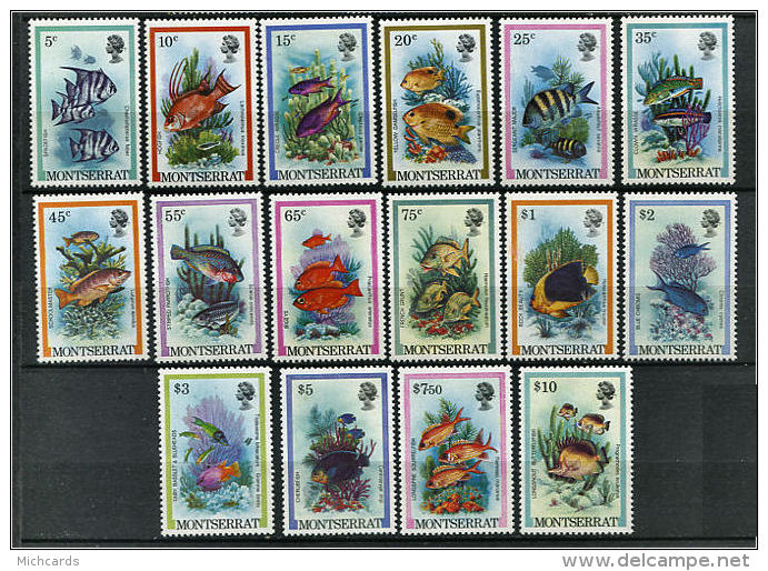 MONTSERRAT 1981 - Poissons - Serie Neuve Sans Charniere (Yvert 446/61) - Montserrat