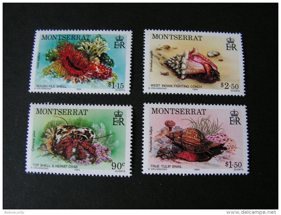 == Montserat  Meeresfauna 1984   ** MNH   557-590  €  16,00 - Montserrat