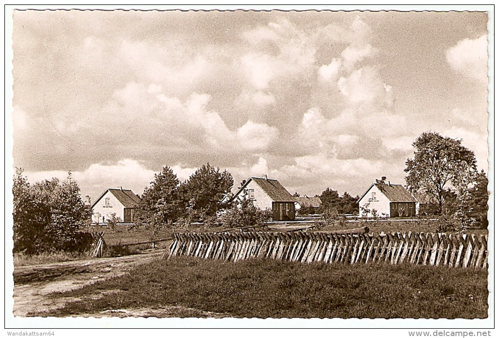 AK 27267106 Feriendorf Schneverdingen -3.10.59 -18 (20a) SCHNEVERDINGEN D Nach Ludwigshafen / Rhein - Schneverdingen