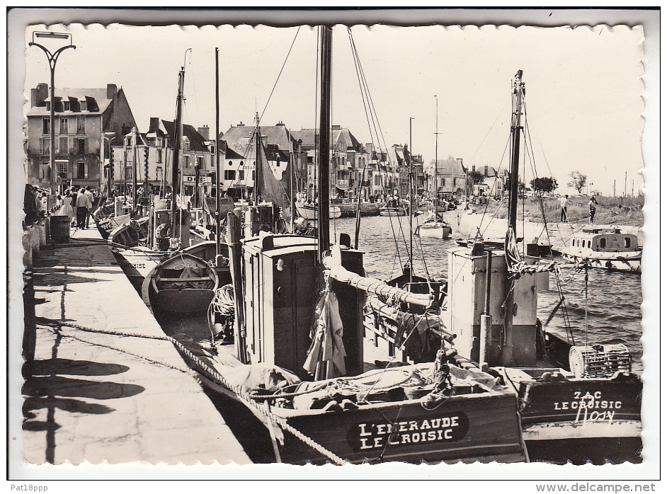 LE CROISIC 44 - Bateaux Dans Le Port ( Bateaux De Pêche En Bon 1er Plan ) CPSM Dentelée GF N° 7 - Loire Atlantique - Le Croisic