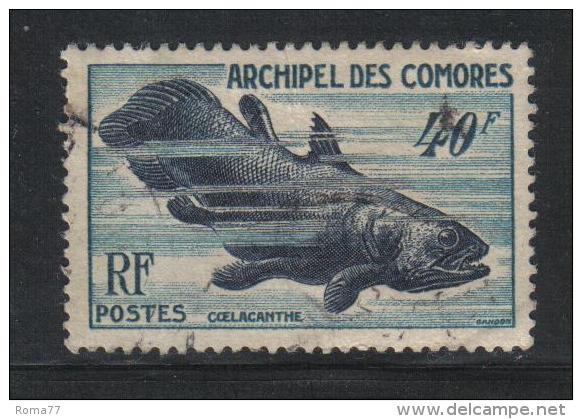 GF1061B - COMORES 1954 ,  Serie N. 13  USED - Used Stamps