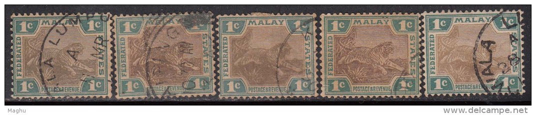 Federated Malay States Used 1900, 1c X 5 Diff., Colour Shades / Variery, Wmk  Crown CA, Tiger, Malaysia, Malaya - Federated Malay States
